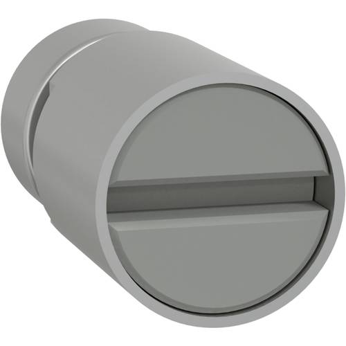 Schneider Electric LVS07946 Zylinderschloss 1 St.