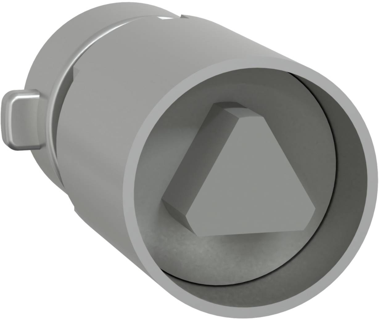 Schneider Electric LVS07949 Zylinderschloss 1 St.