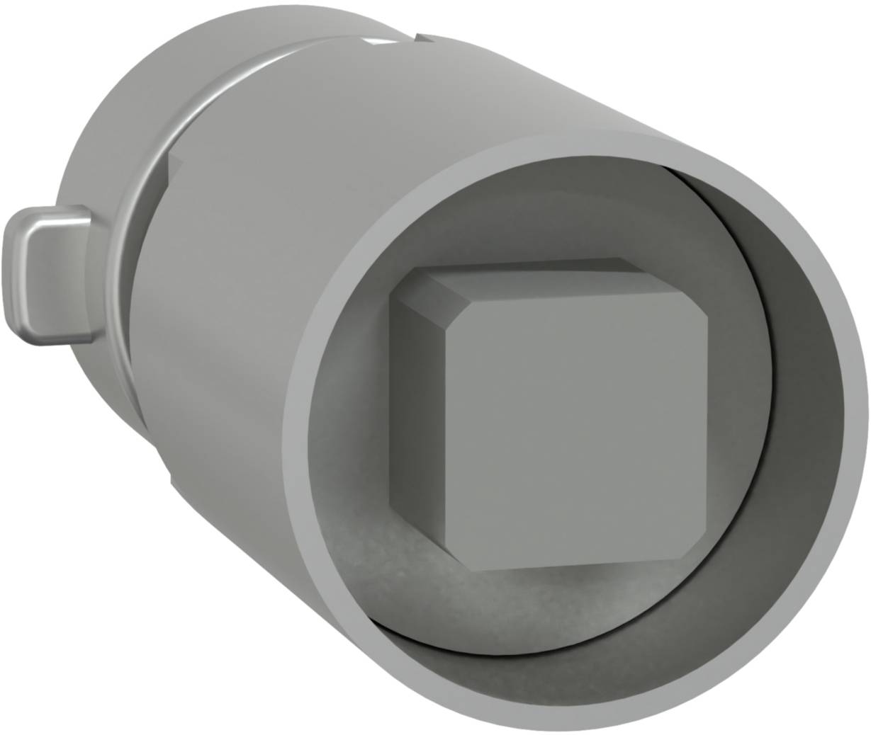 Schneider Electric LVS07953 Zylinderschloss 1 St.