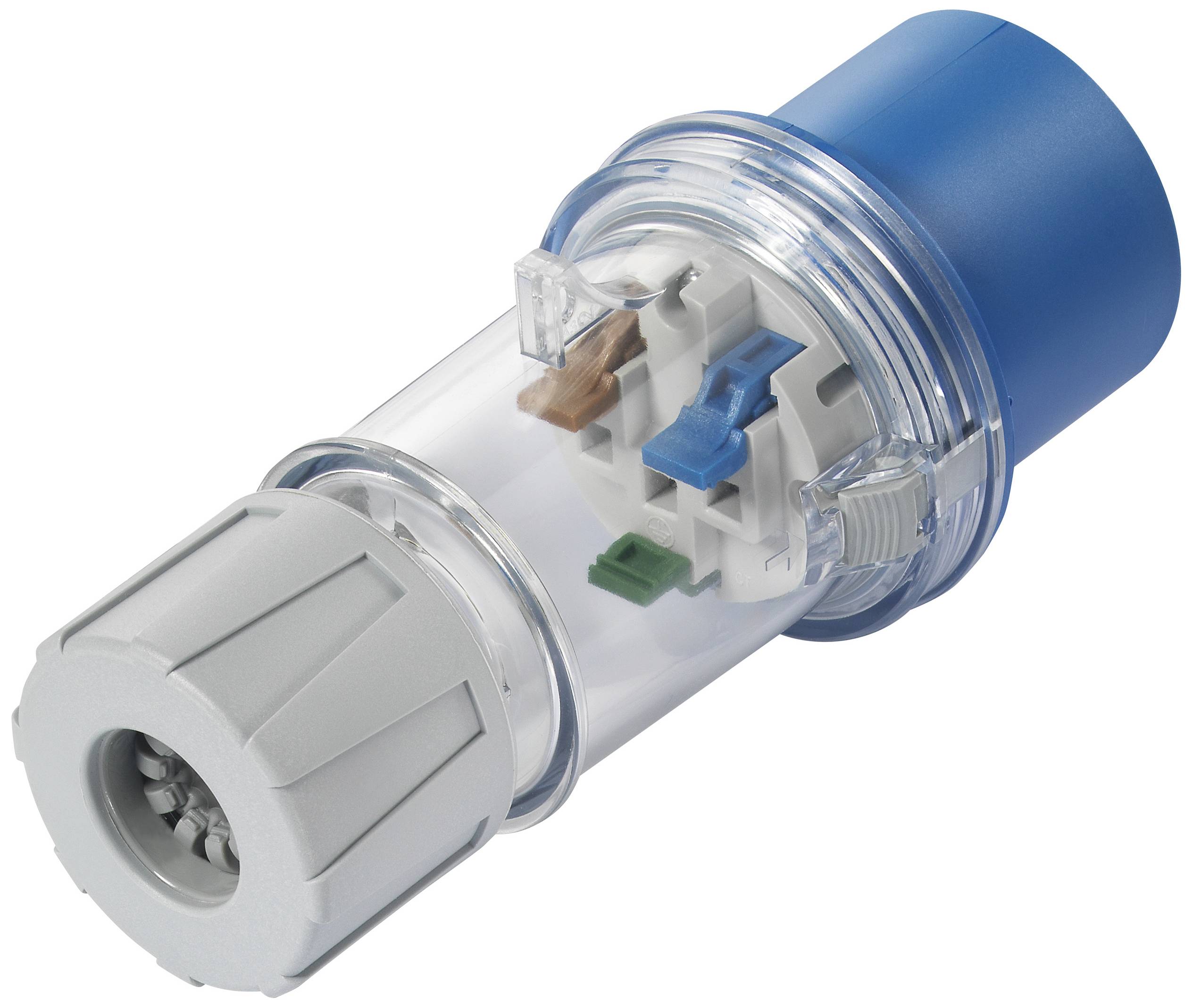 Ein transparenter elektrischer Steckverbinder mit blauer Kappe und grauer Schraubverbindung, zeigt interne Kabelanschlüsse.