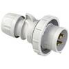 PC Electric Shark 0142-1 CEE Stecker 16 A 4polig 1 St.