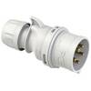 PC Electric Shark 025-1 CEE Stecker 32 A 5polig 1 St.
