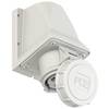 PC Electric 1132-1 CEE Wandsteckdose 16 A 3polig 1 St.