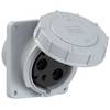 PC Electric Power Twist 443-1 CEE Anbaudose 125 A 3polig 1 St.