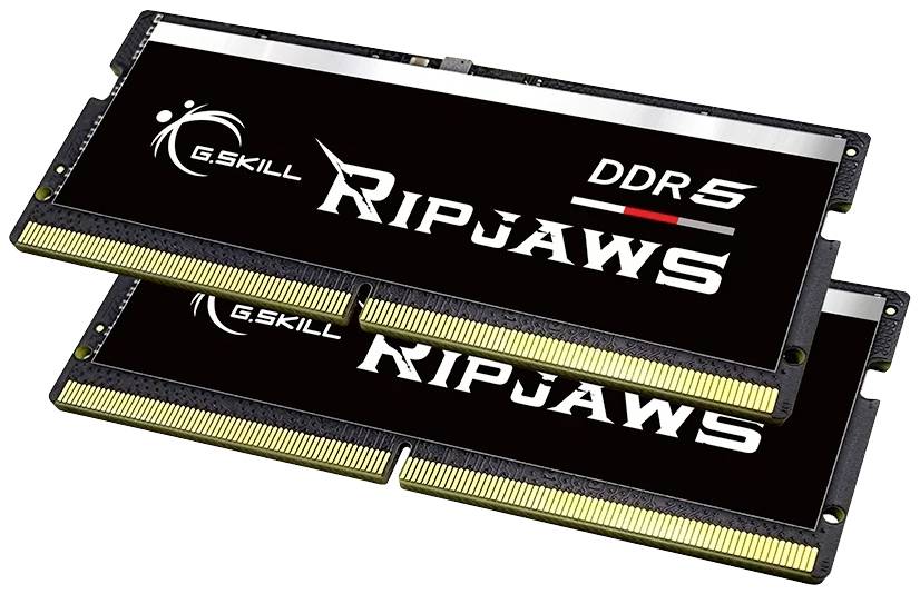 Zwei schwarze RAM-Module der Marke G.Skill Ripjaws DDR5 mit goldenen Kontakten. Sie stapeln sich leicht versetzt übereinander.
