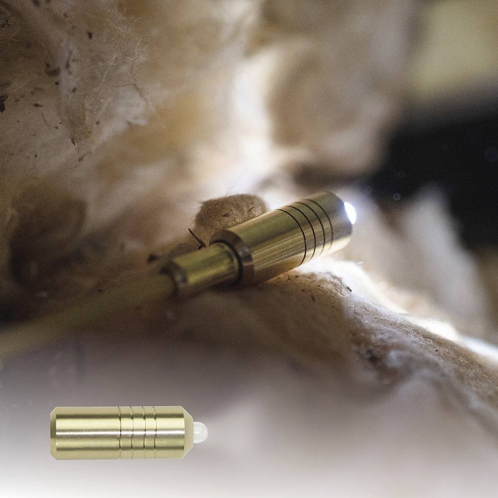 Eine winzige, leuchtende Kamera-Faseroptik inspiziert eine enge Öffnung in einem technischen oder medizinischen Kontext.