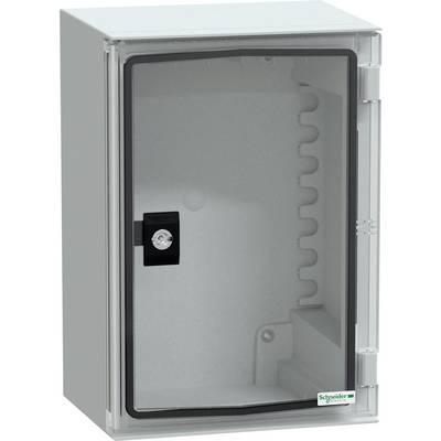 Elektrisches Gehäuse mit transparenter Tür und Schloss zur Beobachtung der Innenkomponenten ohne Öffnung; Schneider Electric-Markenlogo sichtbar.