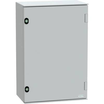 Eine graue Metallschaltschrank-Gehäusebox mit Scharnieren an der rechten Seite und zwei kreisförmigen Schlössern an der linken Seite, markiert mit 'Schneider Electric'.