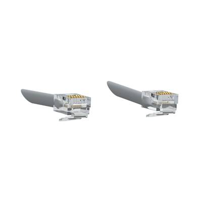 Zwei RJ45-Stecker für Ethernet-Kabel, die nebeneinander gezeigt werden. Sie sind Teile für Netzwerkverbindungen.