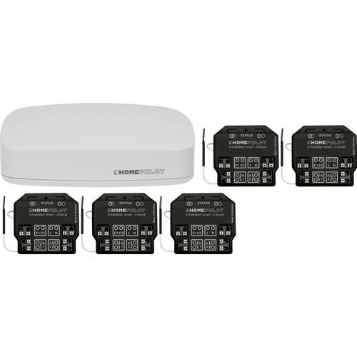 15001001+11941002 HOMEPILOT 2-Kanal Funk Starterkit Beleuchtung