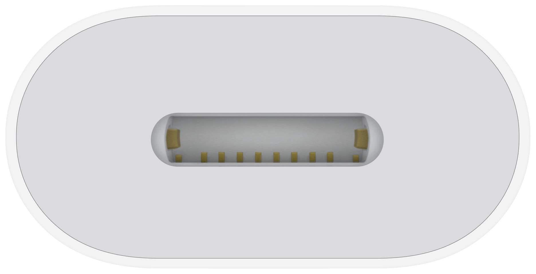 Ein USB-C-Anschluss von oben gesehen, zeigt die elliptische Form und die inneren Kontakte mit symmetrischer Anordnung.