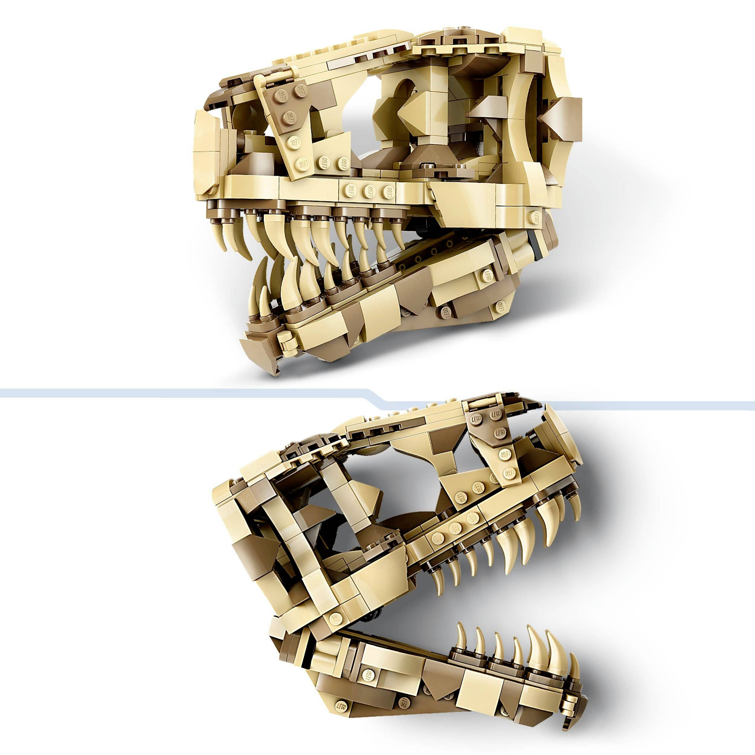 Zwei Dinosaurierschädel aus Legosteinen, in Erdtönen gehalten. Eine Darstellung von fossilen Funden für Bildungszwecke.
