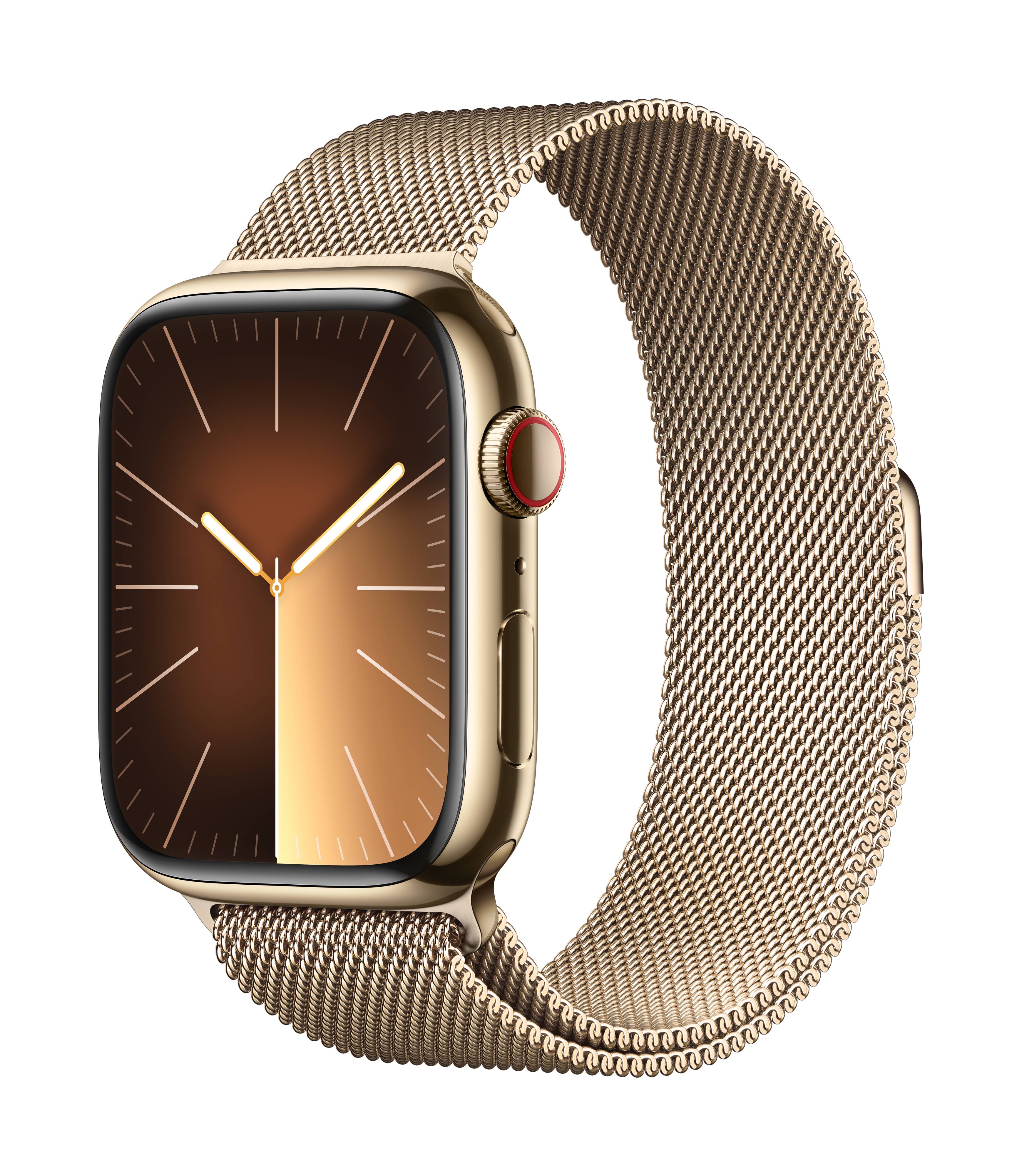 Apple Watch Series 9 GPS + Cellular 45 mm, Edelstahlgehäuse