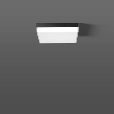 Eine moderne, quadratische Deckenleuchte mit schwarzem Rand und weißem Leuchtbereich, an einer grauen Wand montiert.