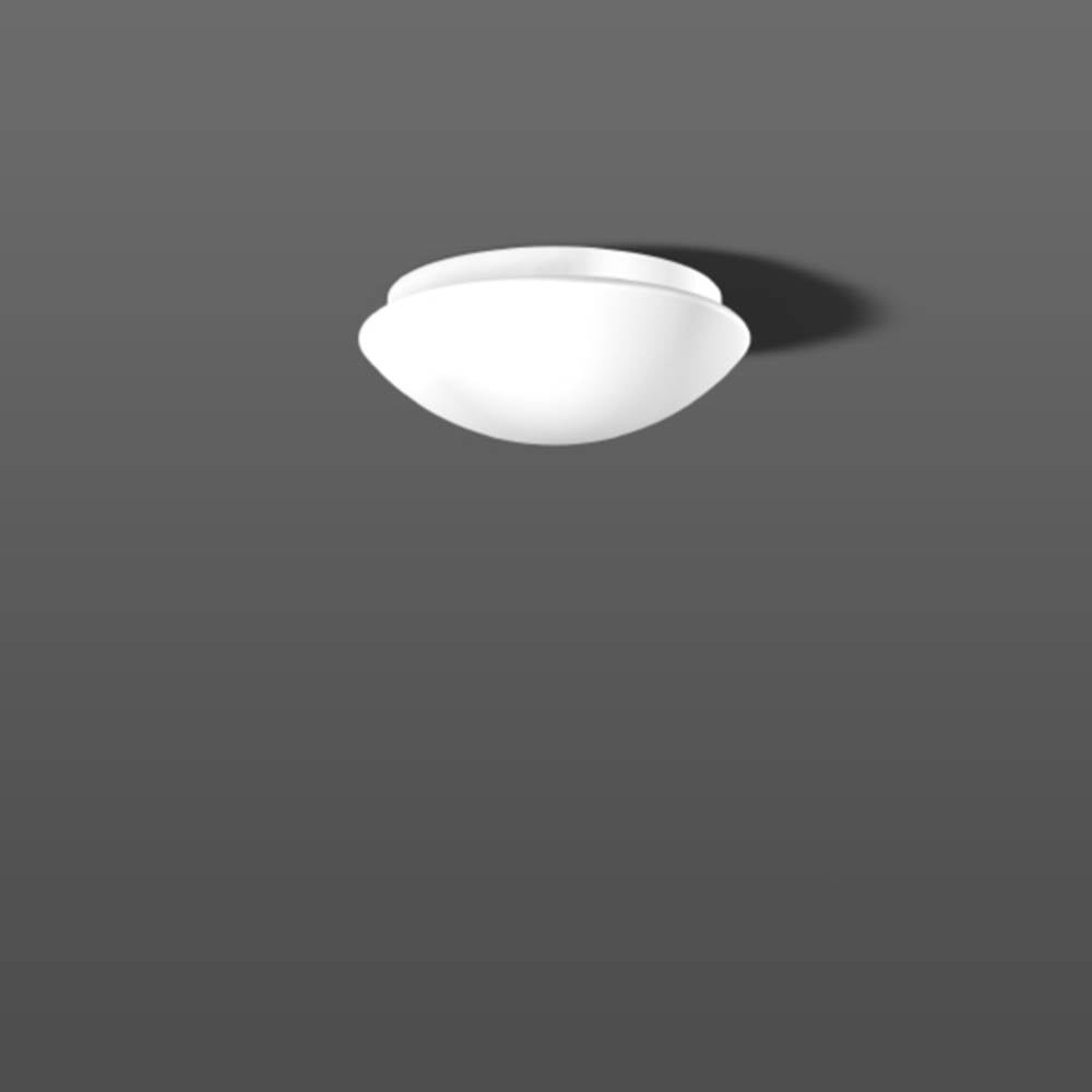 RZB 221023.002.1 Plafondlamp voor badkamer