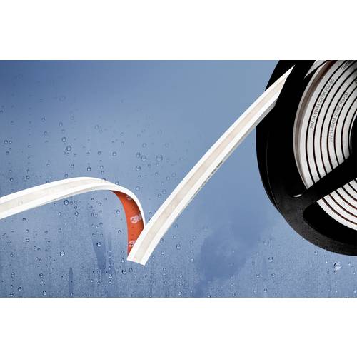 Barthelme 51542534 LED-Streifen 24 V 5000 mm Kaltweiß 5 m