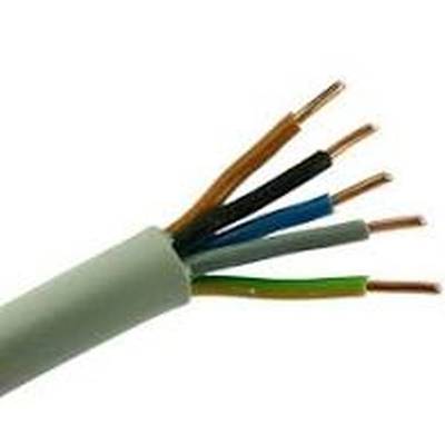 Ein Kabel mit mehreren Kupferdrähten in verschiedenen Farben ragt aus einem weißen Kabelmantel.