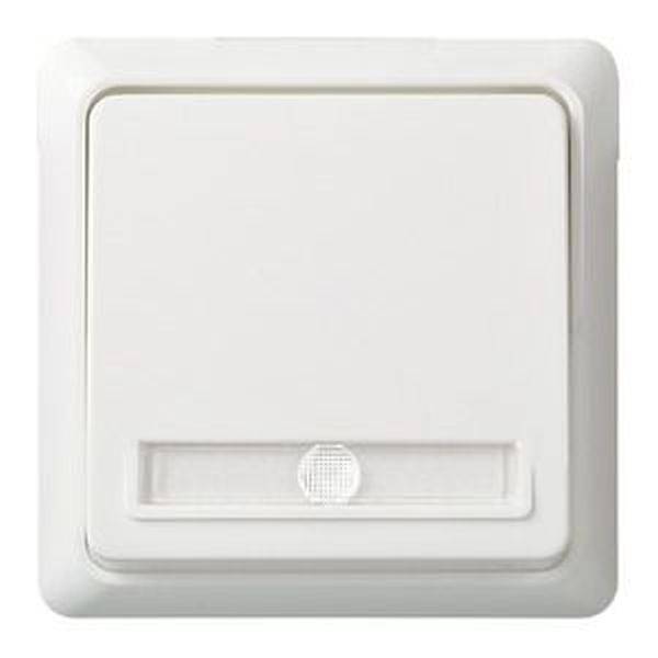 ELSO 502124 ELSO Taster 502124 10A bel. RENOVIERUNG reinweiß 10 St.