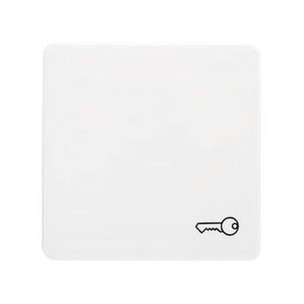 ELSO 213124 ELSO Wippe 213124 mit Symbol Schüssel reinweiß 10 St.