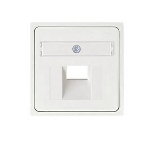 ELSO 366504 ELSO Zentralplatte 366504 für 1xRJ45 JOY reinweiß 10 St.