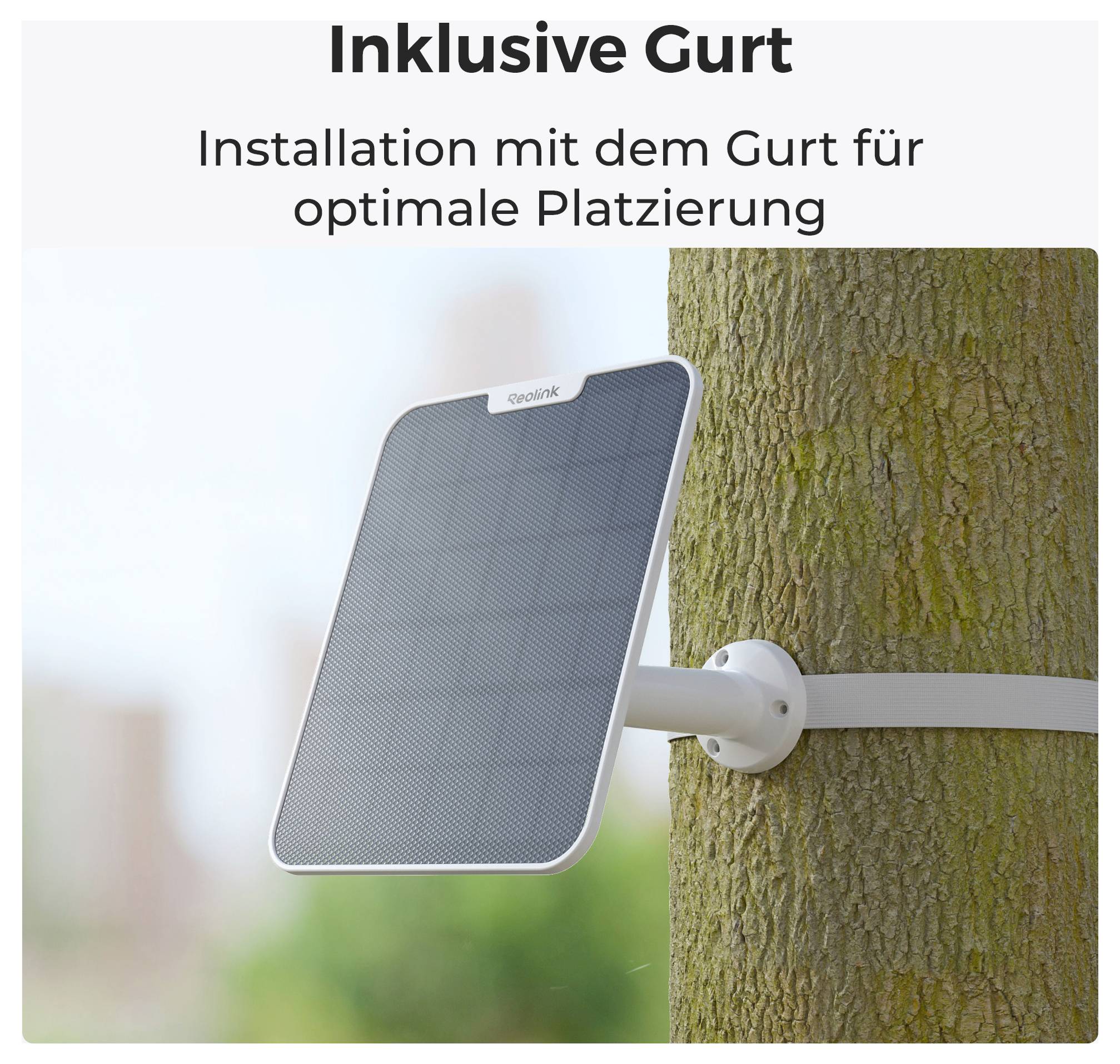 Solarpanel, das mit einem Riemen an einem Baum befestigt ist, um eine optimale Positionierung zu erreichen.