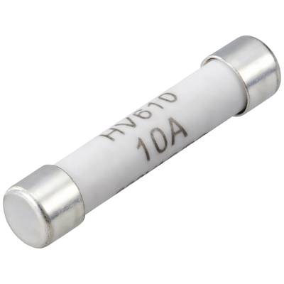 Eine zylindrische, weiße Sicherung mit der Aufschrift 'HV61D 10A'.