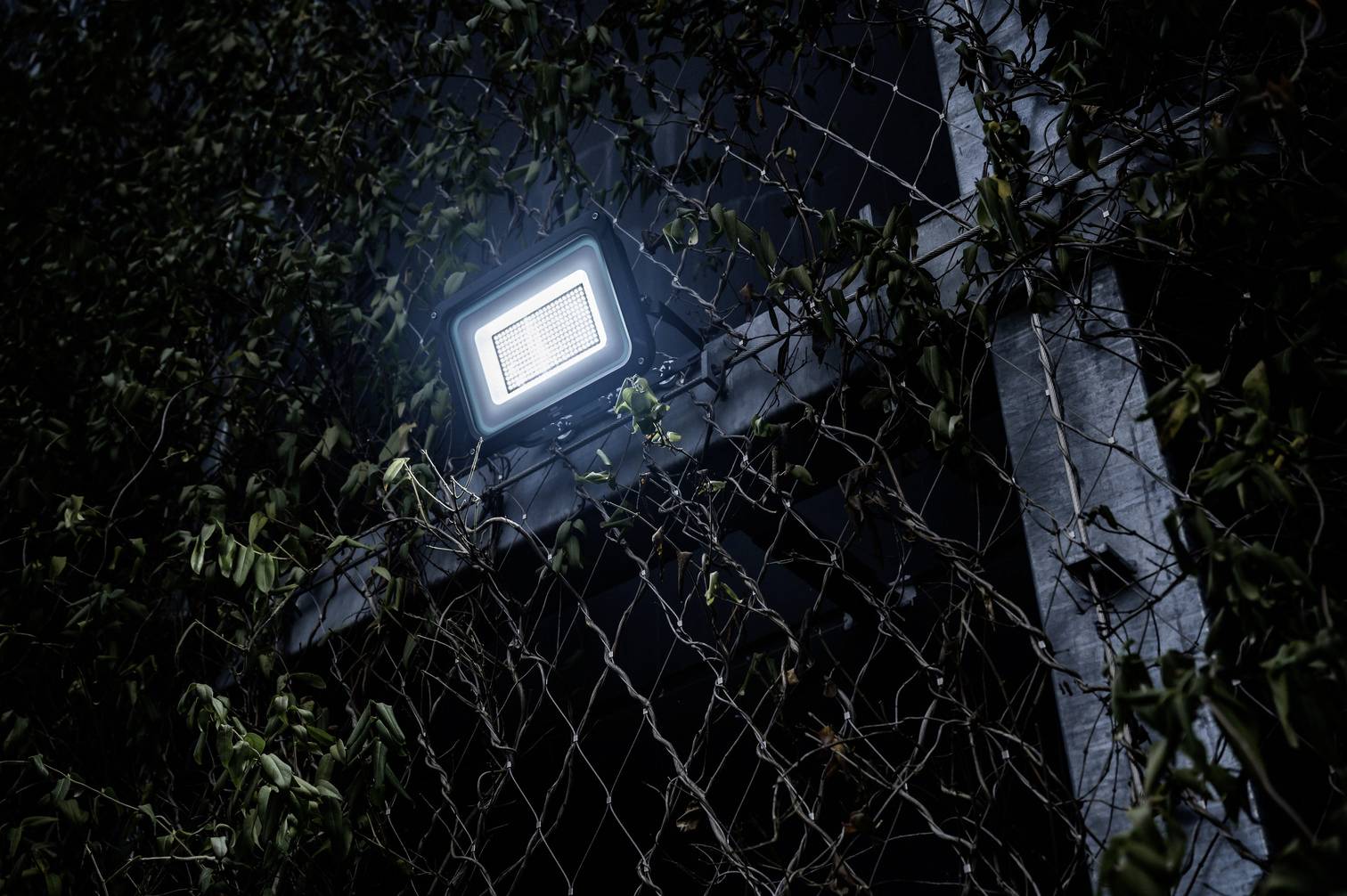 Scheinwerfer beleuchtet ein verwachsenes Metallgitter bei Nacht. Pflanzenranken umschlingen das Gitter teils dichte.
