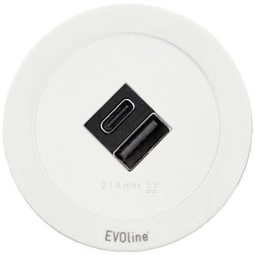 EVOline 1592 8001 6900 Tischanschlussfeld Weiß Schutzkontakt