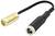 Konverterkabel mit schwarzem Kabel verbindet einen goldenen und einen silbernen Adapter. Geeignet für spezielle Audio-/Video-Anwendungen.