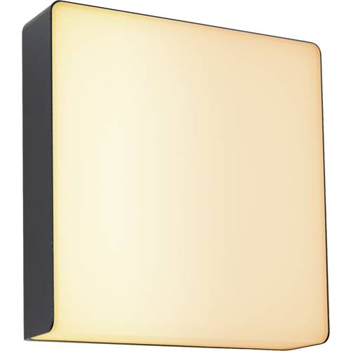 Paulmann LED-Außenwandleuchte mit Bewegungsmelder Azalena 8.5 W RGBW