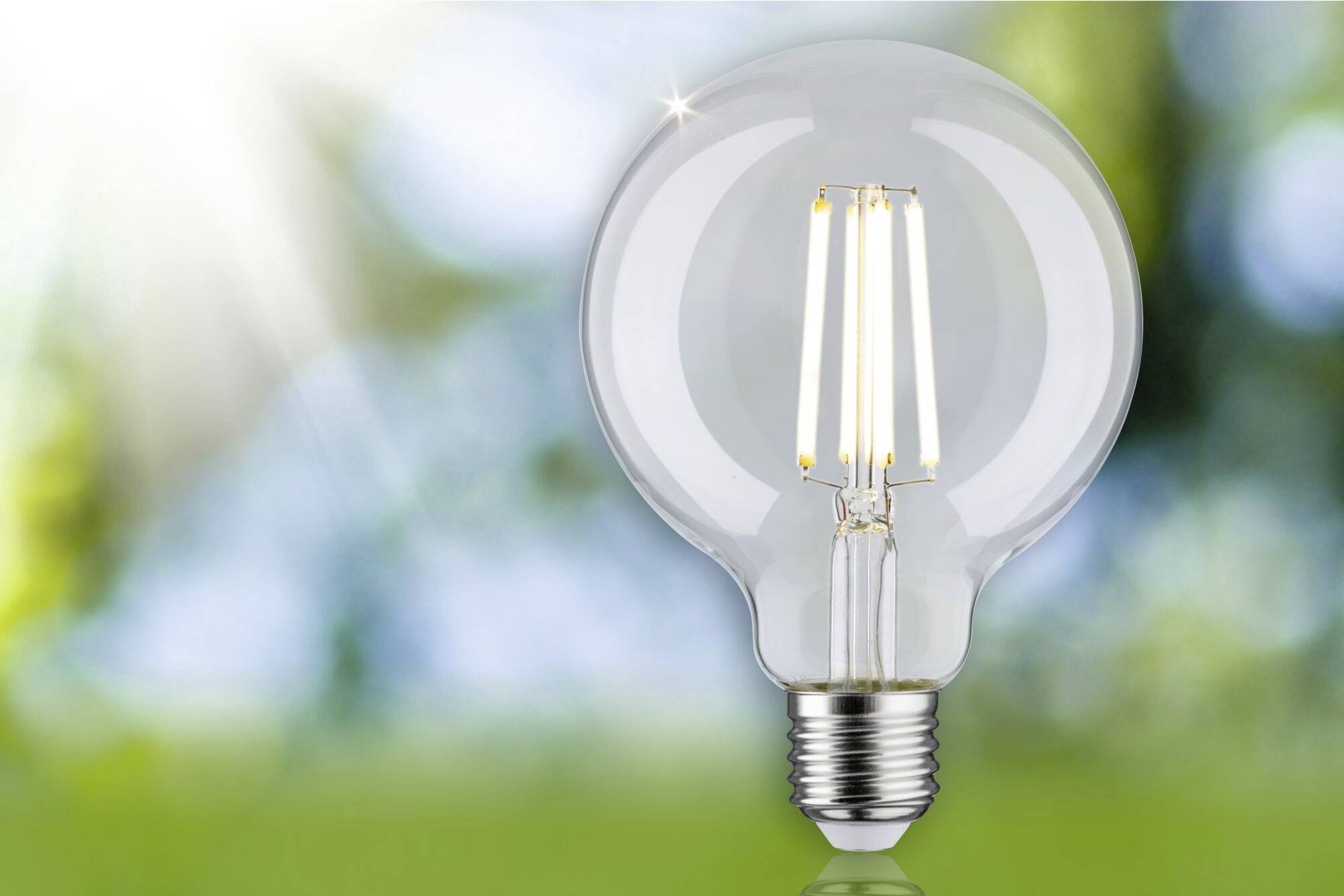 Eine Glühbirne leuchtet in der Sonne vor einem verschwommenen grünen Hintergrund und symbolisiert Energie und Innovation.