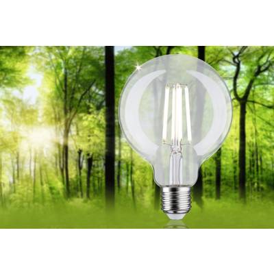 Glühbirne mit LED-Technik schwebt vor einem sonnendurchfluteten Wald, symbolisiert umweltfreundliche Energie und Naturverbundenheit.
