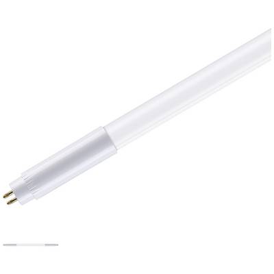 LED-Röhre mit weißem Kunststoffgehäuse und zwei Metallstiften an einem Ende, auf weißem Hintergrund.