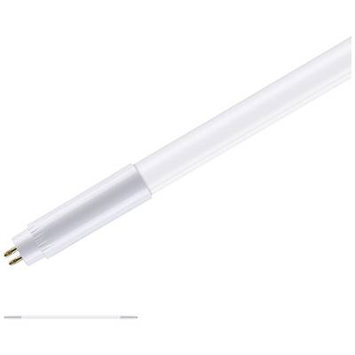 Weiße LED-Röhre mit zwei goldfarbenen Pins an der Unterseite, dargestellt vor weißem Hintergrund. Geeignet für Energiesparbeleuchtung.