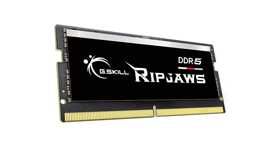 Ein schwarzer G.Skill Ripjaws DDR5 RAM-Riegel, seitlich abgebildet, zeigt das goldene Anschlussinterface unten und das Logo auf der Oberfläche.