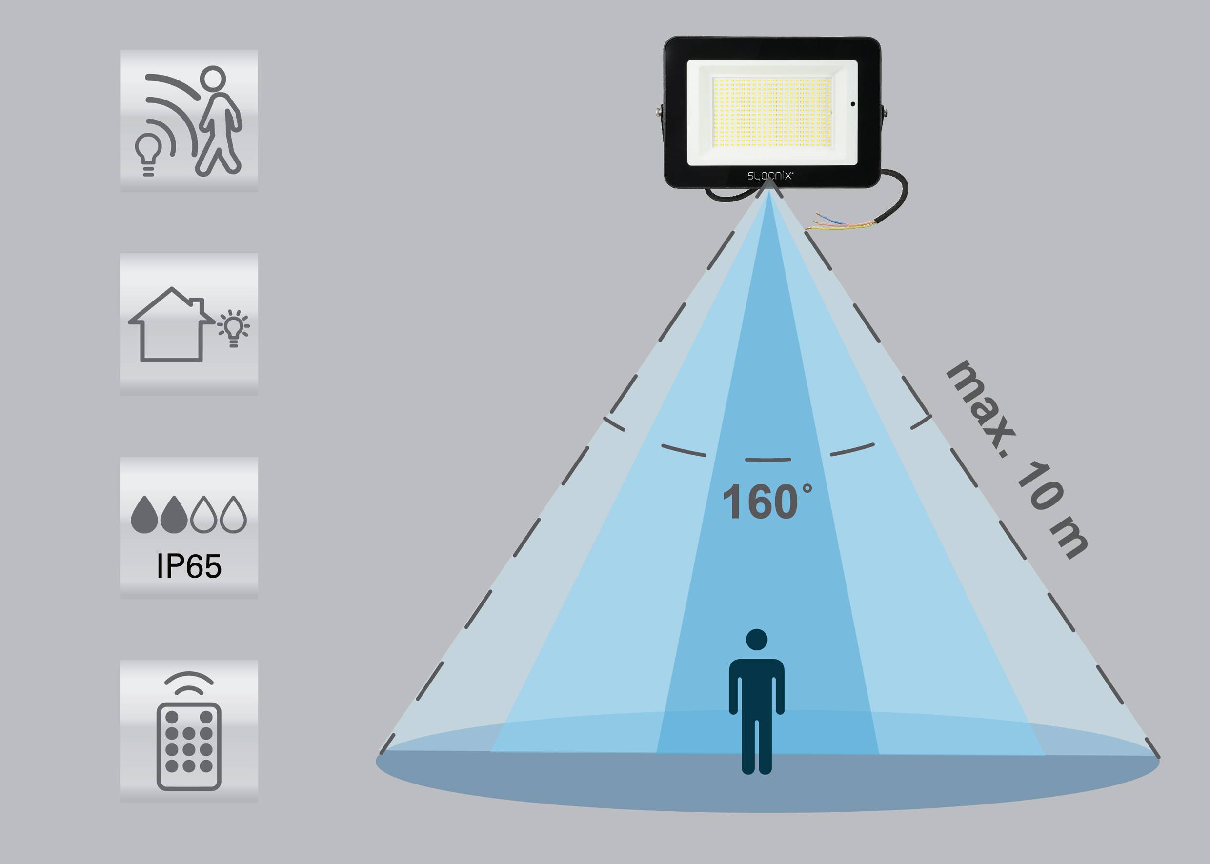 'LED-Strahler mit Bewegungssensor' in der Mitte. Reichweite: max. 10 m, Erfassungswinkel: 160°. Links: Symbole für Bewegung, Haus, IP65, Fernbedienung.