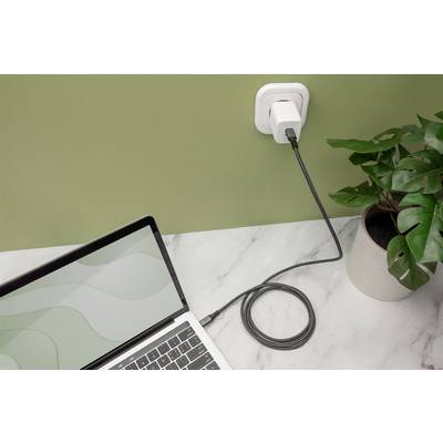 Ein Laptop wird über ein schwarzes Ladekabel mit einer Steckdose an der Wand verbunden. Daneben steht eine grüne Pflanze.