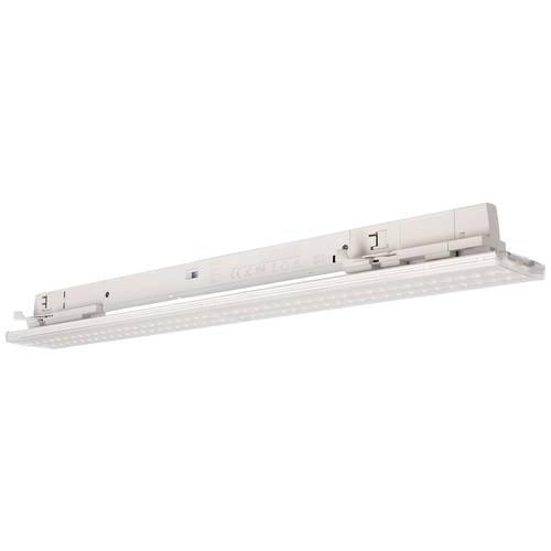 Deko Light Linear Pro LED-Schienenstrahler 3phasig 20 W LED Verkehrsweiß (RAL 9016)