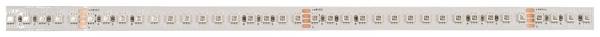 Deko Light Long Run 840407 LED-Streifen  mit offenem Kabelende 48 V 50 m RGB Piece 1 St.
