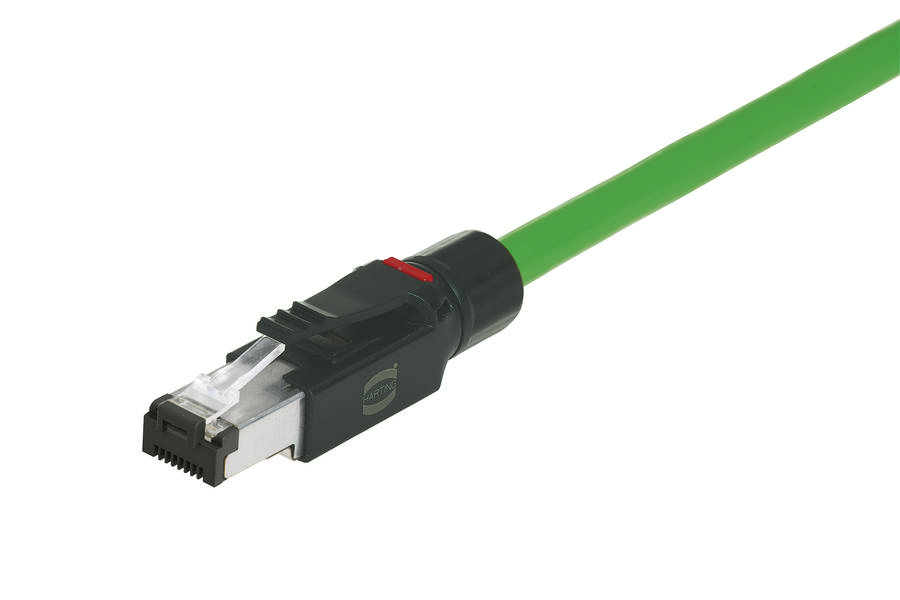 Ein grünes Ethernet-Kabel mit RJ45-Stecker. Es wird häufig für Netzwerkverbindungen verwendet und ist bereit zur Datenübertragung.