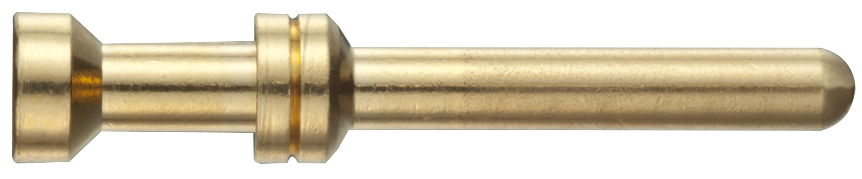 Ein goldfarbener, zylindrischer Metallstecker mit zwei Rillen nahe dem mittleren Bereich.