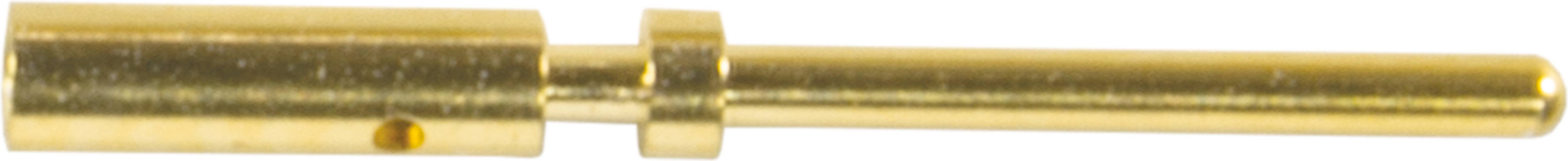 Ein Metallstift aus Messing, der als elektrischer Kontakt verwendet wird. Er ist zylindrisch mit einer Bohrung auf einer Seite.