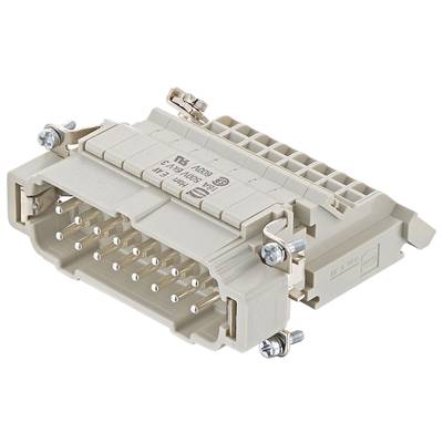 Ein rechteckiger, beiger elektrischer Steckverbinder mit mehreren Metallstiften und Schrauben zur Befestigung.