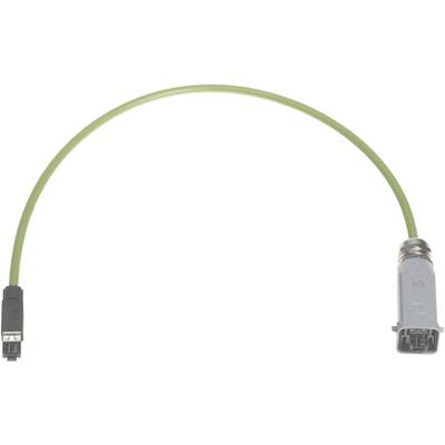 'Ein grünes Ethernet-Kabel mit einem männlichen und einem weiblichen Steckverbinder.'