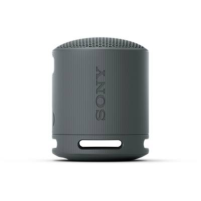 Sony SRSXB100B.CE7 Bluetooth® Lautsprecher spritzwassergeschützt kaufen Freisprechfunktion, Schwarz