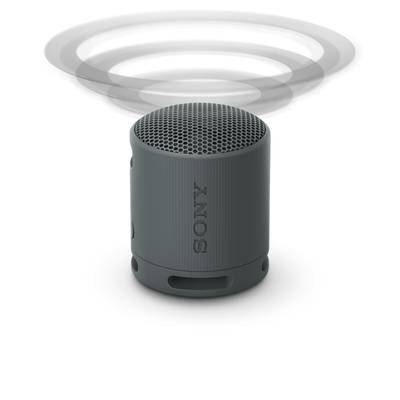 Ein grauer tragbarer Lautsprecher von Sony mit Schallwellen, die oben dargestellt werden, um die Schallausgabe zu visualisieren.