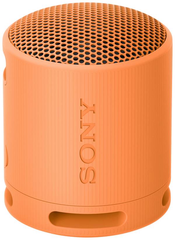 Sony SRS-XB100 - Lautsprecher - tragbar - kabellos