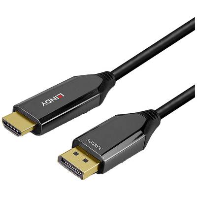 Ein schwarzes HDMI-zu-DisplayPort-Kabel. Links der HDMI-Stecker, rechts der DisplayPort-Stecker mit 'SOURCE' Aufschrift.
