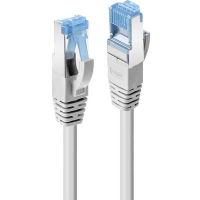 Zwei silberne Ethernet-Kabelstecker mit blauen Verriegelungslaschen.