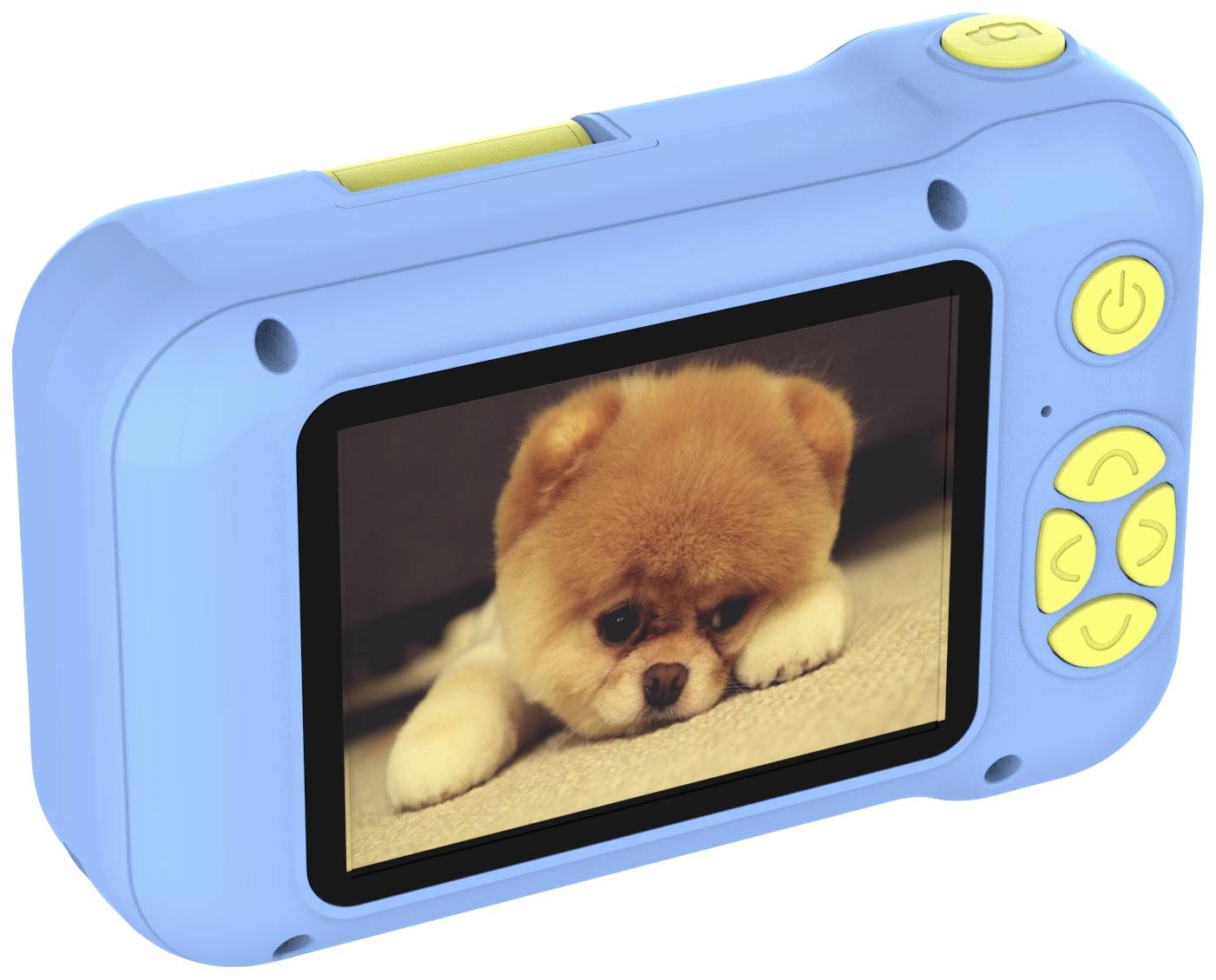 Ein blauer Fotorahmen zeigt ein Bild eines niedlichen Hundes, der mit traurigem Blick auf dem Bauch liegt. Tasten sind sichtbar.